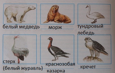 юным умникам и умницам 3 класс ответы 1 часть ответы